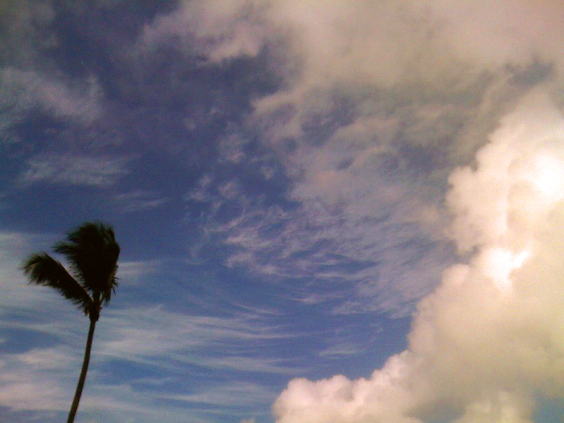 Blue Skies