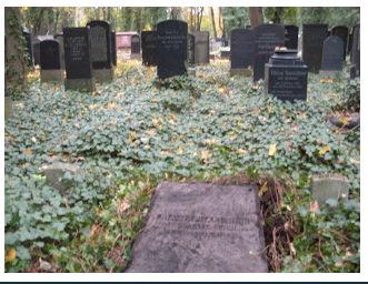 The Past, Present & Future of a Time Capsule