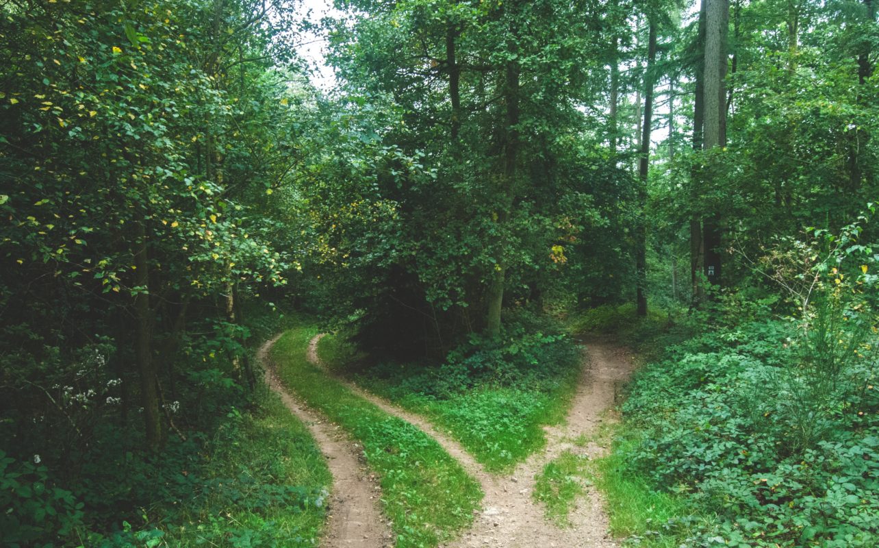 Make It Happen, Step 1: Choose the Path