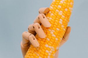 Freelance Food Technology Content Marketing Writer