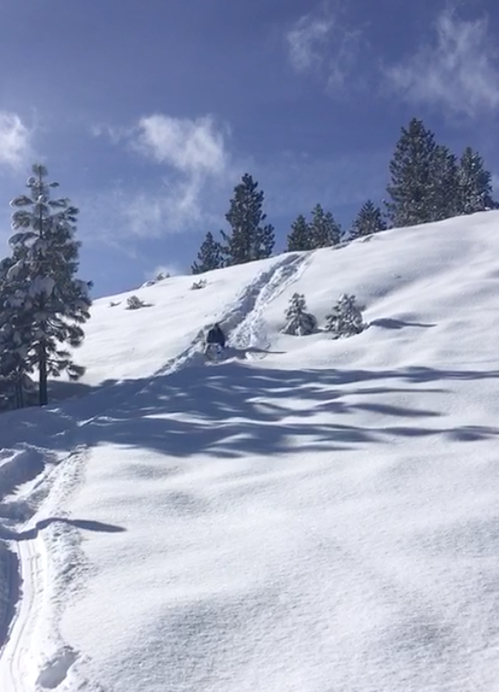 sledding tahoe